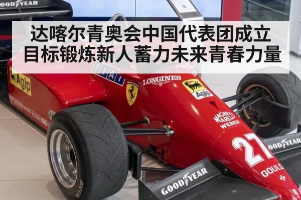 达喀尔青奥会中国代表团成立 目标锻炼新人蓄力未来青春力量